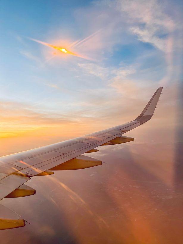 RoVita Travel Hero